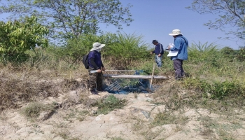 สำรวจความเสียหายลำห้วยงาว เพื่อทำการประเมินความเสียหายในพื้นที่ของ บ้านข้าวสาร หมู่ที่ 4