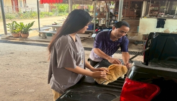 โครงการสัตว์ปลอดโรคคนปลอดภัยจากโรคพิษสุนัขบ้าฯ บ้านเม็ก หมู่ 1 ครับ