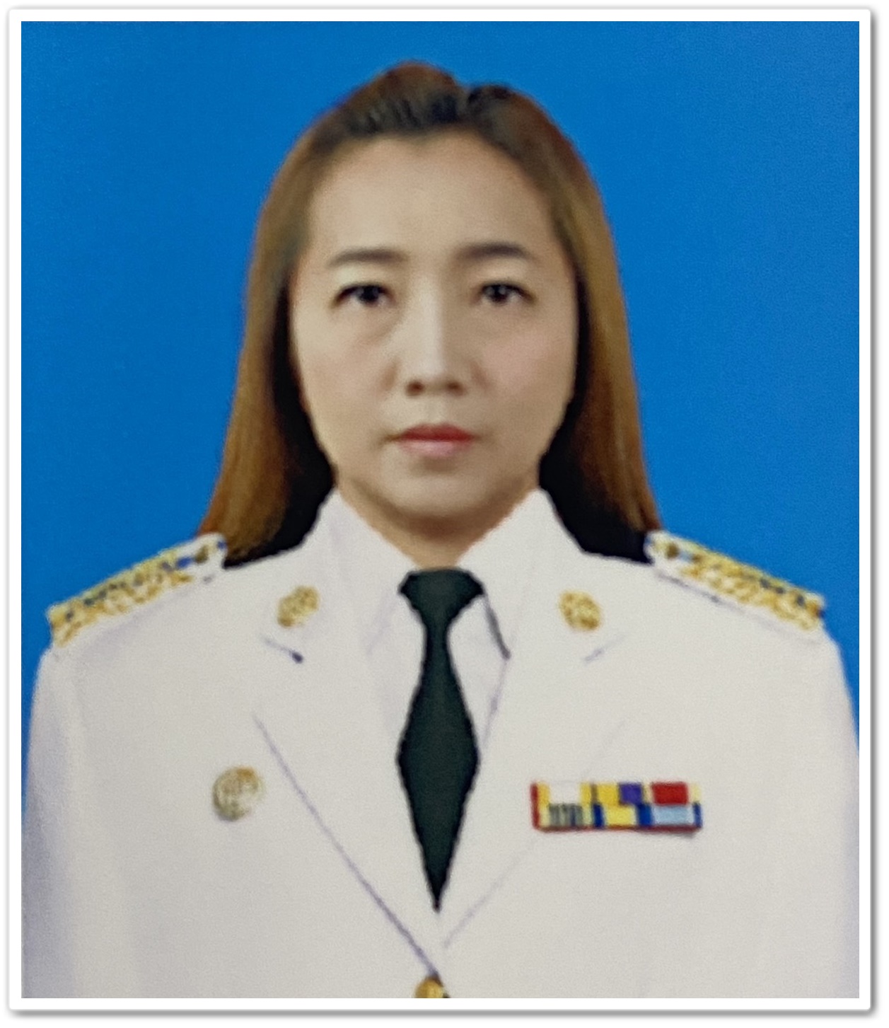 Chief Executive of the SAO